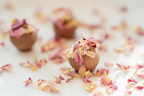 Kasino Paradise Win Android/iOS aplikace